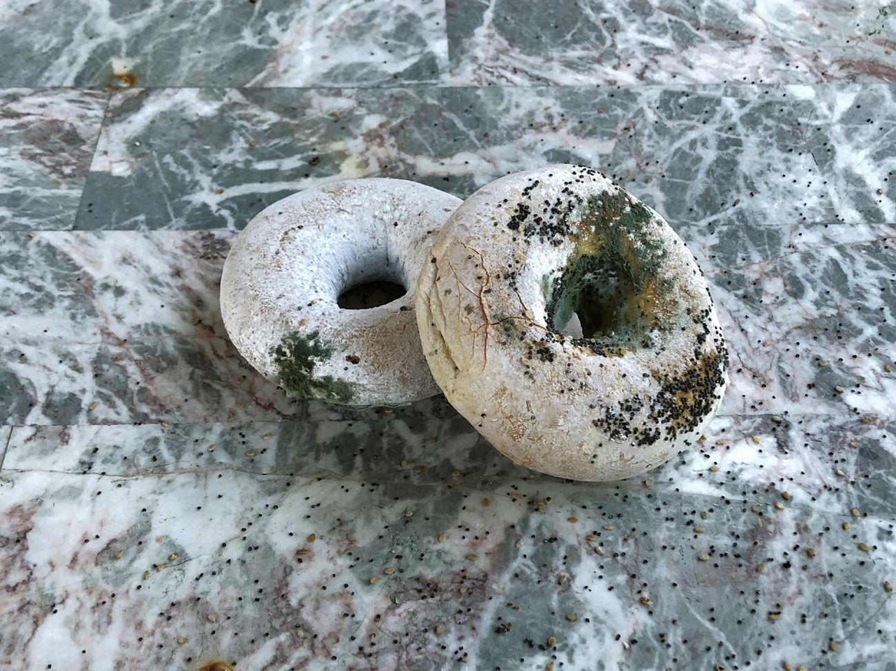 Moldy Bagels on Marble Table, 2019 by Roe Ethridge Ocula