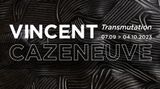 Contemporary art exhibition, Vincent Cazeneuve, Transmutation at Dumonteil Contemporary, Paris, France