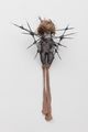 Untitled (doll) by Kim Jones contemporary artwork 2