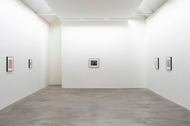 Exhibition view: Samuel Laurence Cunnane, Late Spring, Kerlin, Dublin (1 March–6 April 2024). Courtesy Kerlin Gallery.