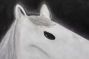 A white horse by Andrew Sim contemporary artwork 5