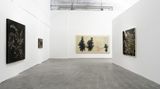 Contemporary art exhibition, Wu Yiming, Shepherd's Purse at ShanghART, M50, Shanghai, China
