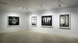 Contemporary art exhibition, Charlotte Colbert, Ordinary Madness at Gazelli Art House, London, United Kingdom
