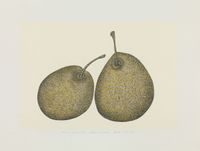 Revival Series II #9 Pears Dialogue by Eddie Lui contemporary artwork works on paper, drawing