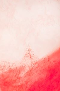 Red #1 by Elinor Carucci contemporary artwork photography
