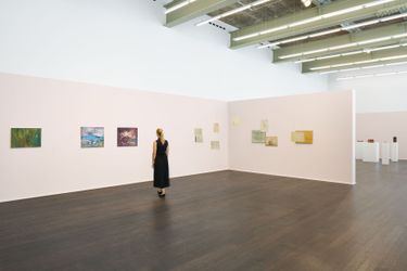 Contemporary art exhibition, Erna Rosenstein, Erna Rosenstein at Hauser & Wirth, Limmatstrasse, Zürich, Switzerland