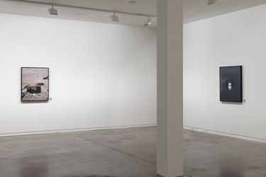 Exhibition view: Conor Clarke, As far as the eye can reach, Two Rooms, Auckland (4 June–3 July 2021). Courtesy Two Rooms.