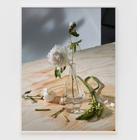 Decanter with White Roses by Roe Ethridge contemporary artwork print