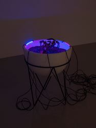 Exhibition view: Haroon Mirza: ããã – Fear of the Unknown remix, Lisson Gallery, New York (3 March–8 April 2017). Courtesy Lisson Gallery, New York.