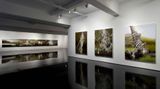 Contemporary art exhibition, Andrew Browne, Down by the river at Tolarno Galleries, Melbourne, Australia