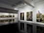 Contemporary art exhibition, Andrew Browne, Down by the river at Tolarno Galleries, Melbourne, Australia