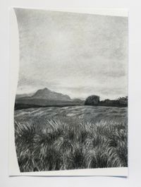 Horton plains 1 by Muhanned Cader contemporary artwork works on paper, drawing