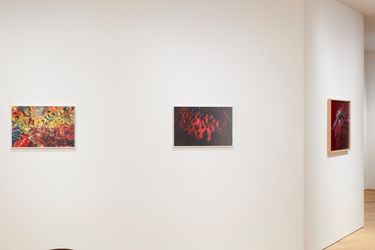 Exhibition view: My Flower, Taka Ishii Gallery, Photography/Film, Tokyo (16 February–19 March 2021). Courtesy Taka Ishii Gallery. Photo: Kenji Takahashi.