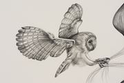 Inseparable (Barn Owl) by Patricia Piccinini contemporary artwork 5