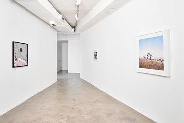 Exhibition view: Thabiso Sekgala, Bôna, Goodman Gallery, Johannesburg (25 January–14 March 2020). Courtesy Goodman Gallery.