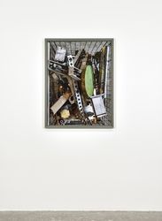 Exhibition view: Thomas Struth, Nature & Politics, Marian Goodman Gallery, Paris (25th May - 26th July 2024). Courtesy the artist & Marian Goodman Gallery.  
