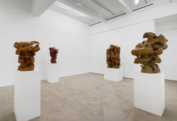 Exhibition view: Tony Cragg, Incidents, Marian Goodman Gallery, New York (28 October–28 December 2022). Courtesy Marian Goodman Gallery.