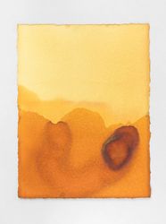 Jason Martin, Alentejo Primavera (Golden Yellow) (2022). Cold process dye on watercolour paper, 76 x 56 cm. Courtesy Tang Contemporary Art.