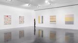 Contemporary art exhibition, Tyler Hobbs, QQL: Analogs at Pace Gallery, 540 West 25th Street, New York, United States