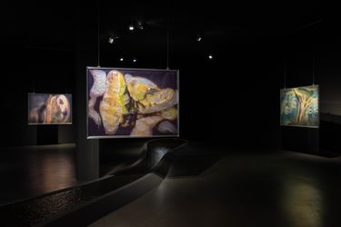 Exhibition view: Anicka Yi,  A Shimmer Through The Quantum Foam, Esther Schipper Gallery, Berlin (15 September–21 October 2023). Courtesy the artist, Gladstone Gallery and EstherSchipper, Berlin/Paris/Seoul. Photo: Andrea Rossetti.