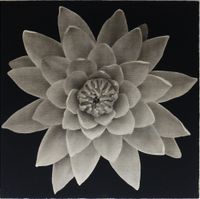 Flowery World: Lotus 花花世界：康乃馨 by Lee Chun-yi contemporary artwork painting, works on paper, drawing