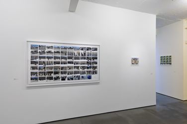 Installlation view, Milton Machad, 'X', Galeria Nara Roesler, Rio de Janeiro. Photo: Pat Kilgore © Galeria Nara Roesler