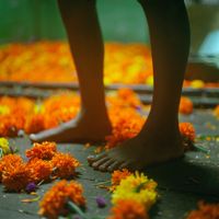 Les pieds aux œillets d’Inde à Calcutta, Inde by Denis Dailleux contemporary artwork photography