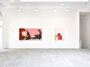Contemporary art exhibition, Michaela Eichwald, hirnlose problemlösung gerade verworfen at Galerie Marian Goodman, Paris, France