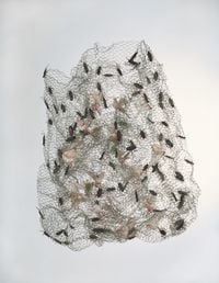 Pigeons and cockroaches by León Ferrari contemporary artwork sculpture