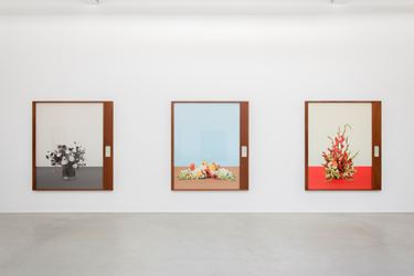 Taryn Simon, Paperwork and the Will of Capitol, 2016, Almine Rech Gallery, Brussels. Courtesy of the Artist and Almine Rech Gallery. Photos: Hugard & Vanoverschelde.