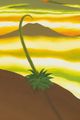 Agave Foxtails at Dawn by Jen Hitchings contemporary artwork 4