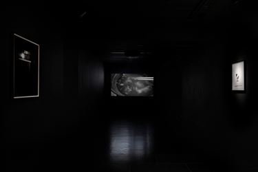 Exhibition view: Taro Masushio, Rumor Has It, Empty Gallery, Hong Kong (23 December–20 March 2021). Courtesy the artist and Empty Gallery. Photo: Michael Yu.