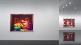 Contemporary art exhibition, Mehdi Ghadyanloo, Mehdi Ghadyanloo at Gagosian Shop, 976 Madison Avenue, New York, USA