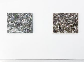Exhibition view: Ji Zhou, Symbiosis, Eli Klein Gallery, New York (22 June–27 August 2022). Courtesy Eli Klein Gallery.