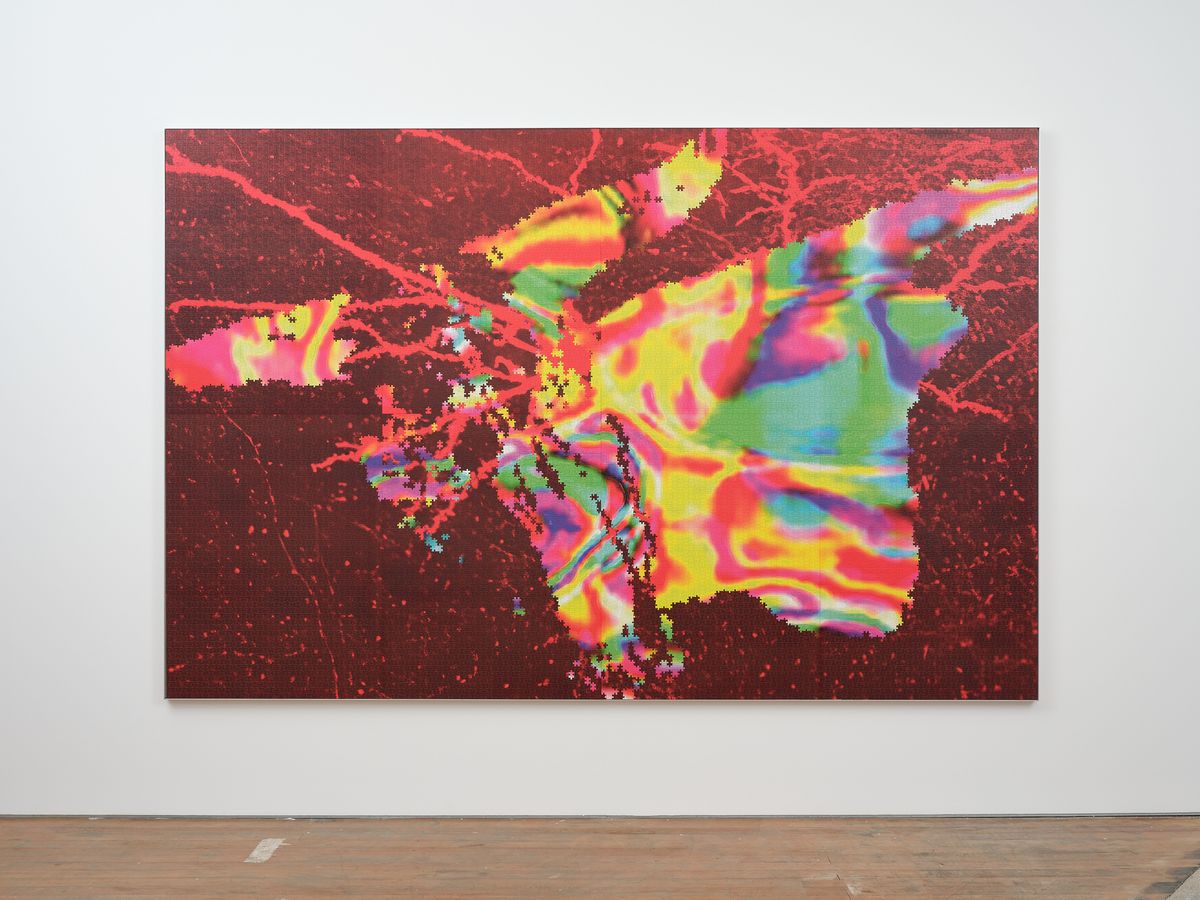 Steer Skull (After Arthur Rothstein), 2026 by Zac Langdon-Pole | Ocula