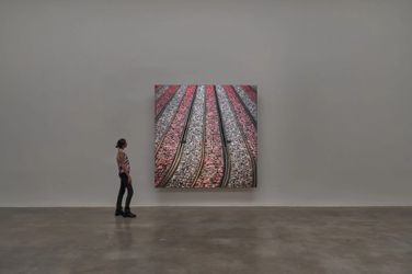 Exhibition view: John Gerard, Endling, Pace Gallery, West 25th Street, New York (29 June–12 August 2022). Courtesy Pace Gallery.