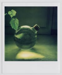 Still life with leaves and green glass bell by Robby Müller contemporary artwork photography