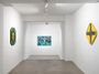 Contemporary art exhibition, Wardha Shabbir, The Water Is Never Still at Sabrina Amrani, Madera, 23, Madrid, Spain