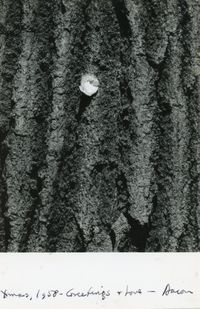 Untitled [Bark] (Christmas Card) by Aaron Siskind contemporary artwork photography