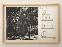 Cut off Plan (The Tree) by Katsuro Yoshida contemporary artwork works on paper, print