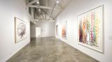 Contemporary art exhibition, Do Ho Suh, New Works at STPI - Creative Workshop & Gallery, Singapore