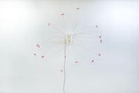 Prostrate by Rachel Youn contemporary artwork sculpture, installation