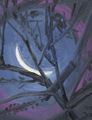 Moon (Through Branches, White Street, 2-24-22, 12:30 AM) by Ann Craven contemporary artwork 2