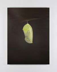 Chrysalis by Vanessa Jones contemporary artwork painting