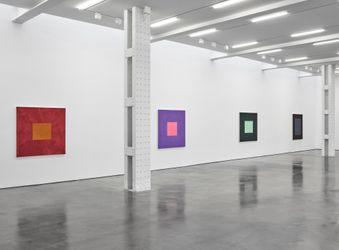 Exhibition view: Peter Joseph, The Border Paintings, Lisson Gallery, West 24th Street, New York (16 February–24 April 2021). Courtesy Lisson Gallery.