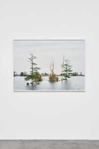 Fragment I: Swamp, April 17, Venice, Louisiana, from The Silent General by An-My Lê contemporary artwork photography, print