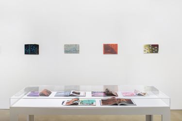Exhibition view: Clément Rodzielski, Animes and magazines, paintings on paper, Galerie Chantal Crousel, Paris (7 March–23 May 2020). Courtesy the artist and Galerie Chantal Crousel, Paris. Photo: Martin Argyroglo.