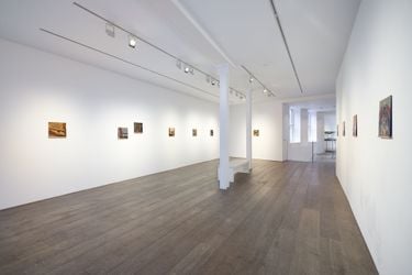 Exhibition view: Sebastián Gordínthe & Yuxiao Ran, Rosenfeld, London (4 April–6 May 2024). Courtesy Rosenfeld.