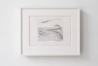 Flight by Robin Lowe contemporary artwork works on paper, drawing