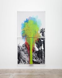 Numbers and Trees: Palm Canyon, Palm Trees Series 2, Tree #7, Mission by Charles Gaines contemporary artwork mixed media